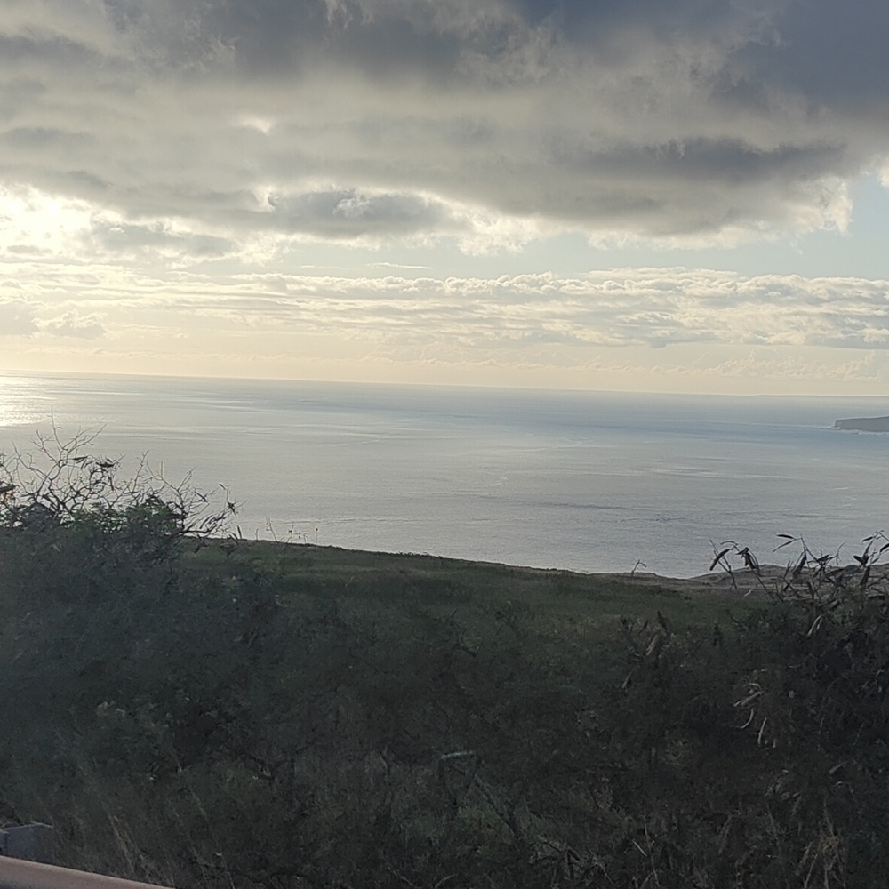 Hi! Thank You For Stopping By...